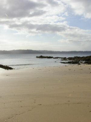 praia-estacas-2
